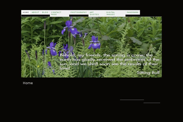 Thesis 1.8 theme site design template sample