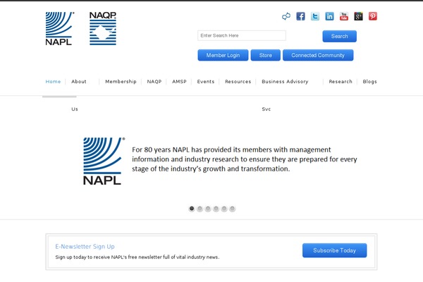 napl.org site used Clean-enterprise