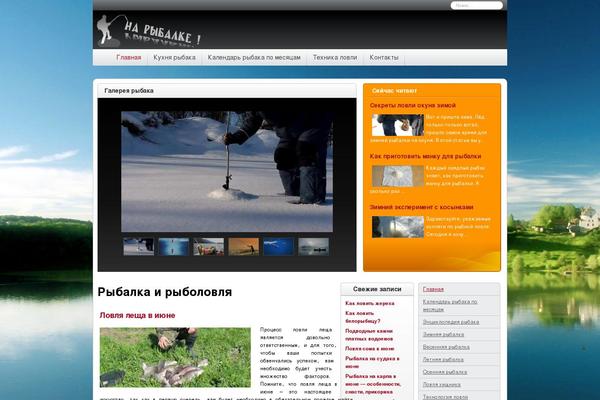 naribalke.com site used Storksystem