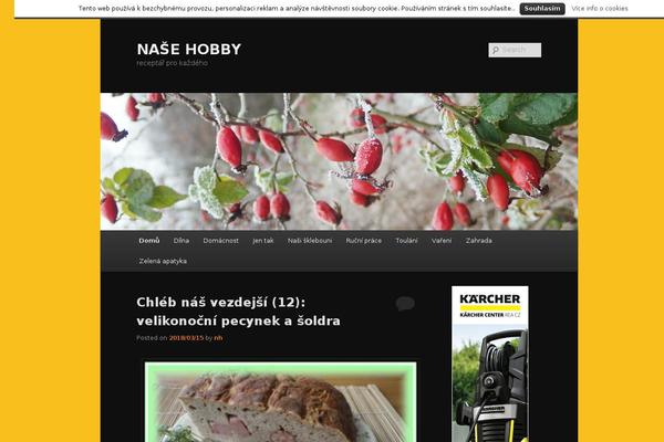 nasehobby.cz site used Eleven-child