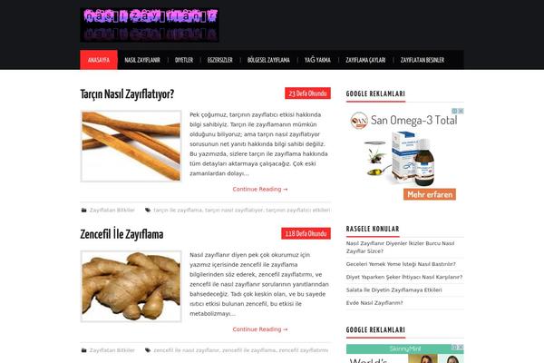 Hiero theme site design template sample