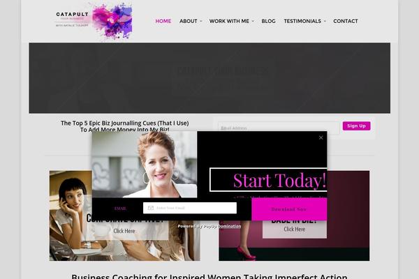 Salient theme site design template sample