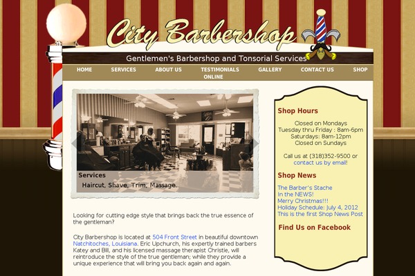 WordPress website example screenshot