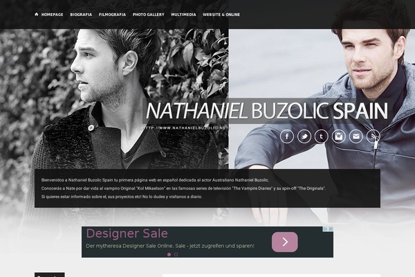 nathanielbuzolic.net site used Omm_wp14