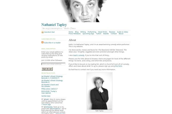 WordPress website example screenshot
