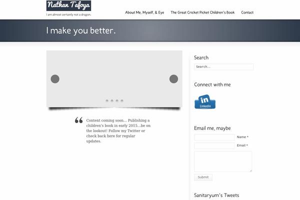 WordPress website example screenshot