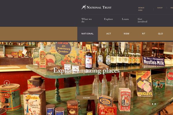 nt_theme theme websites examples