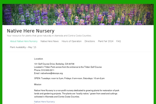 WordPress website example screenshot