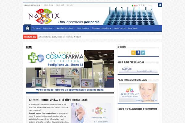 Sahifa theme site design template sample