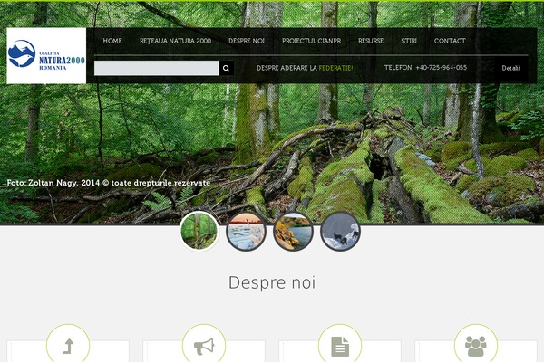 Eco-green theme site design template sample