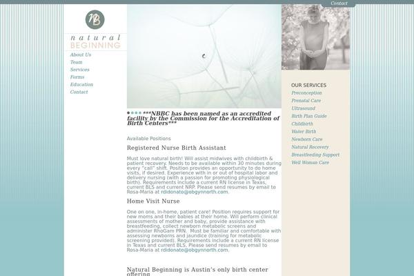 WordPress website example screenshot