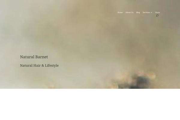 Divi Child theme site design template sample