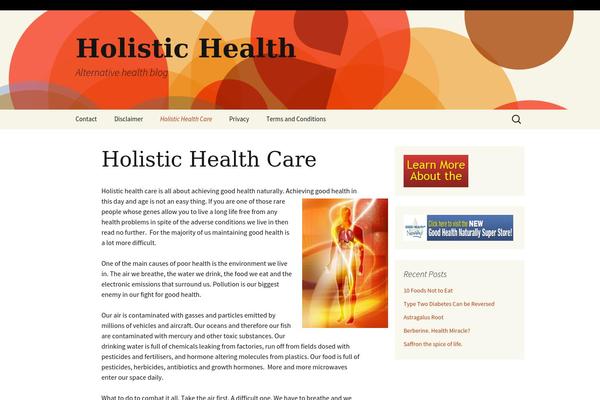 Twenty Thirteen theme site design template sample