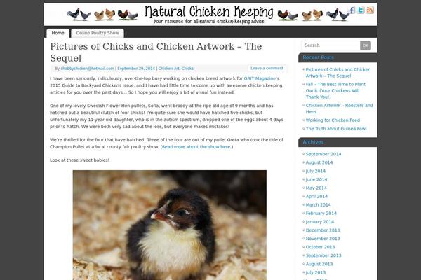 Mantra theme site design template sample