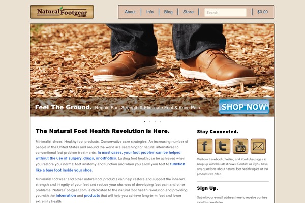 storefront-echo-1.4.0 theme websites examples