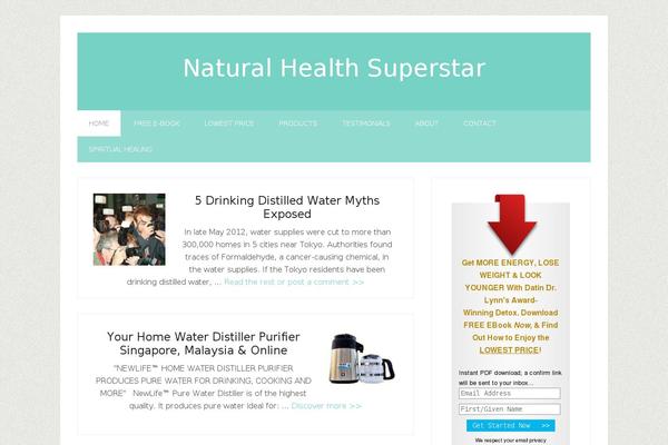 Lifestyle Pro theme site design template sample