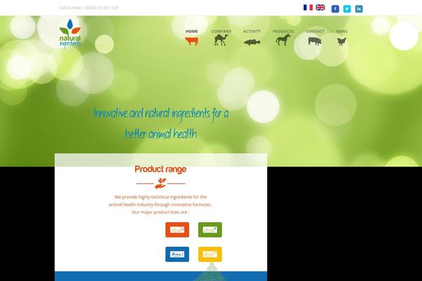 Goodenergy theme site design template sample