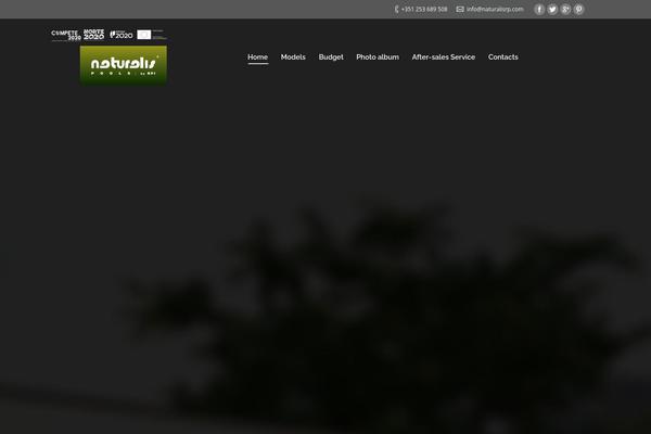 Site using Recent Tweets Widget plugin
