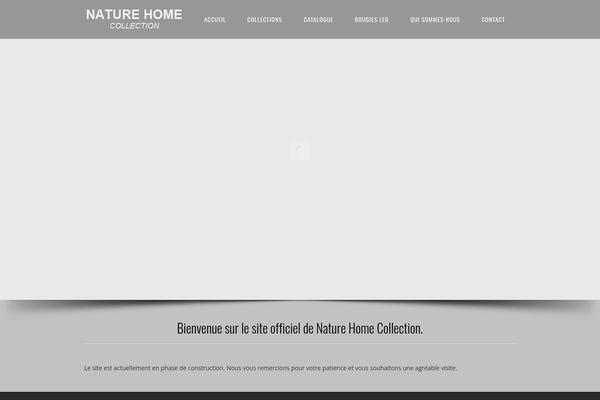 Central theme site design template sample