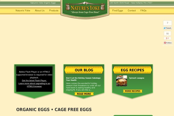 naturesyoke.com site used Ny-child