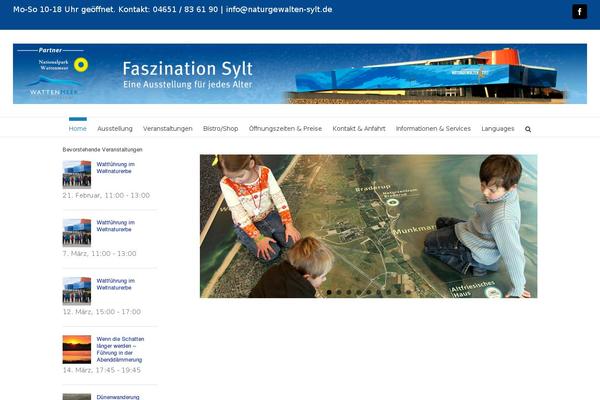 Avada theme site design template sample