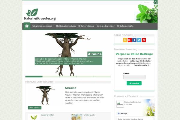 Sahifa theme site design template sample