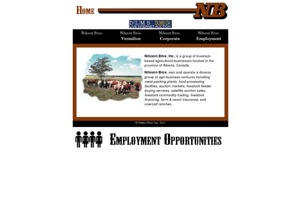 nbinc.com site used Oldvermilion