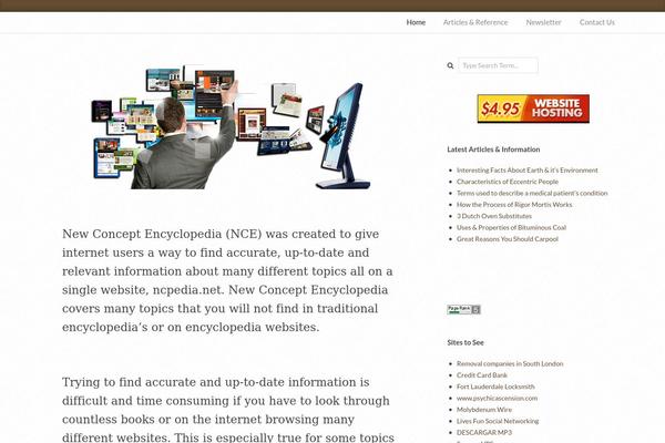 WordPress website example screenshot