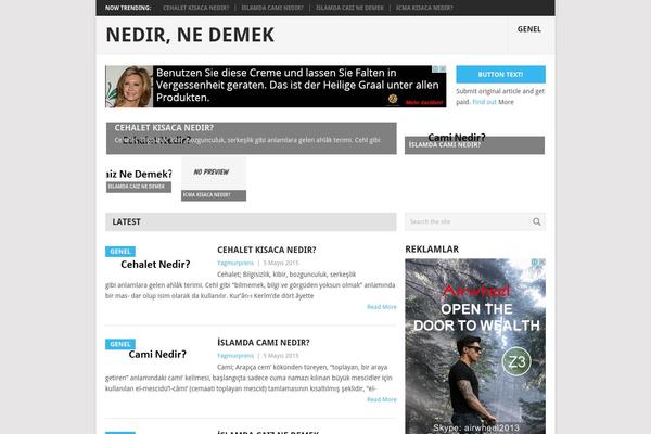 WordPress website example screenshot
