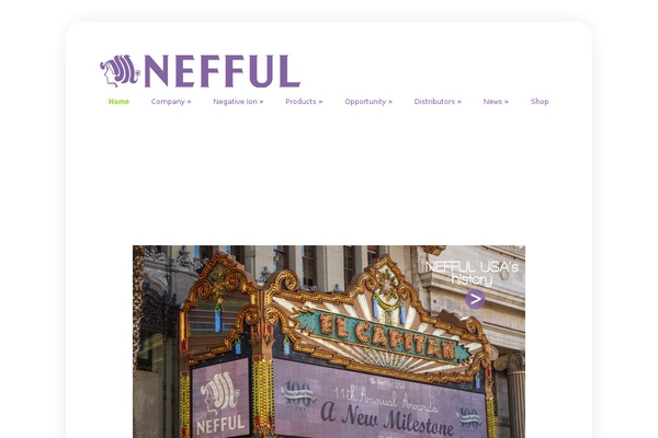 WordPress website example screenshot