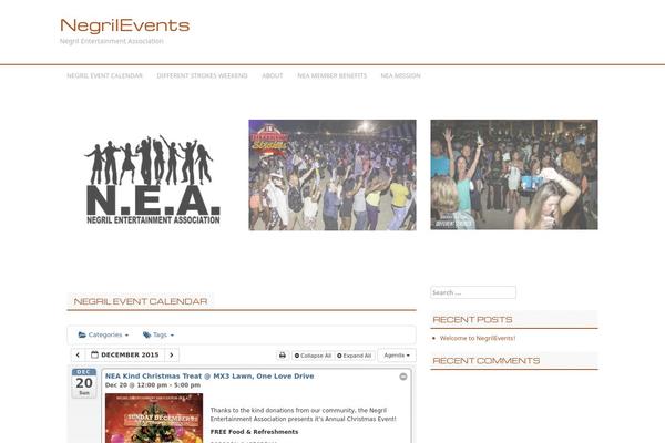 negrilevents.com site used Professional