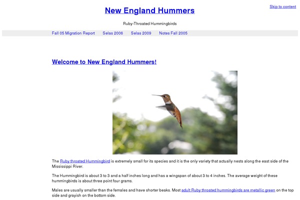 nehummers.com site used Insurance-lite
