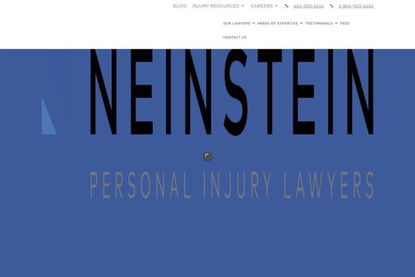 neinstein.com site used Neinstein_3