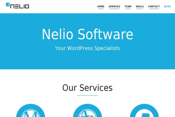 neliosoftware.com site used Nelio-software-2023