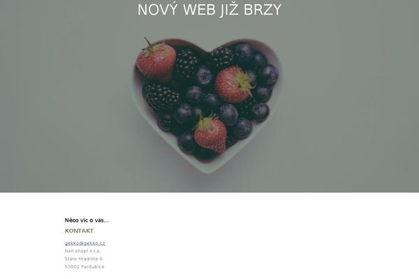 nell.cz site used Theme1969