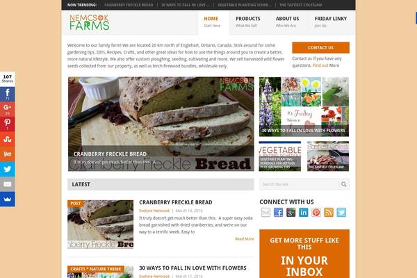 Point theme site design template sample
