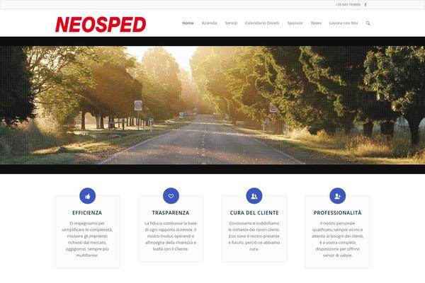 Enfold theme site design template sample