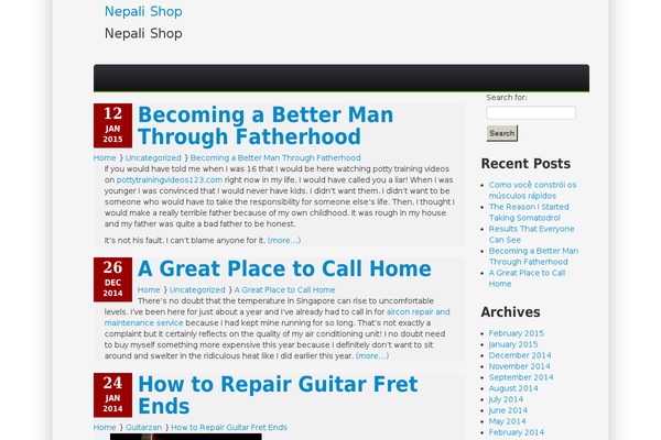 WordPress website example screenshot