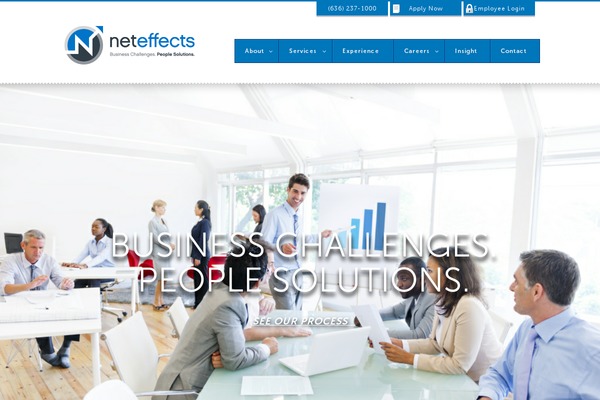 neteffects.com site used Gotheme-twenty-fourteen