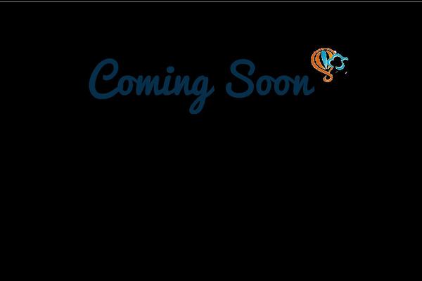 The7 theme site design template sample