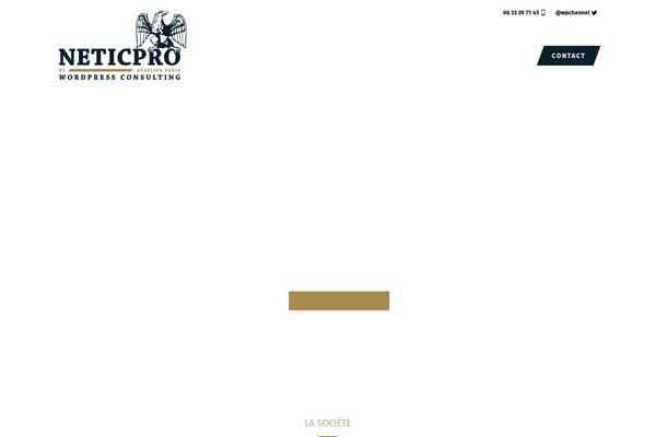 neticpro theme websites examples