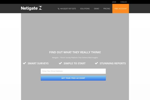 netigate.pl site used Netigate