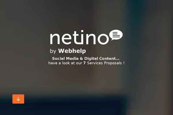 netino.com site used Netino