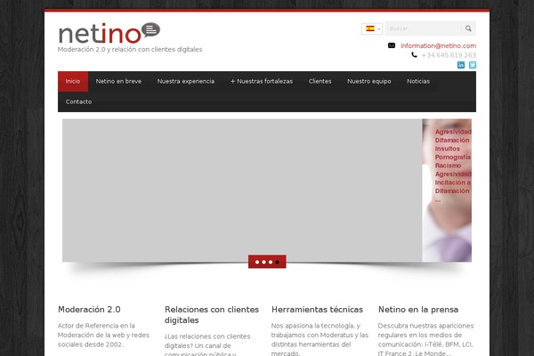netino.es site used Netino