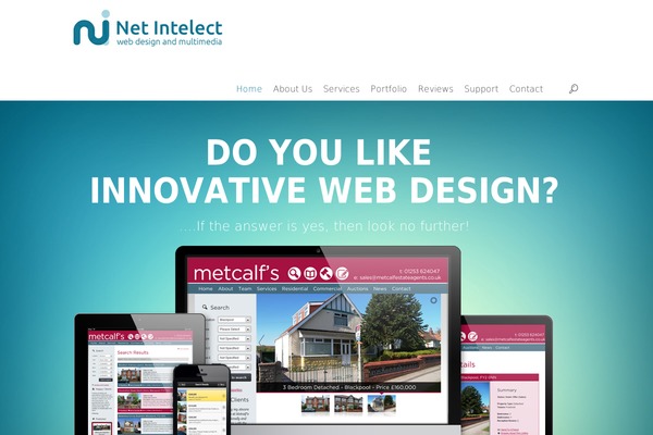 netintelect theme websites examples