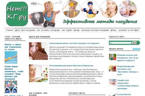 netkg.ru site used Wp-volcano-child