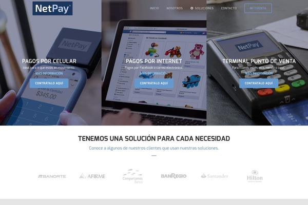 netpay theme websites examples