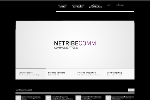 ng12 theme websites examples