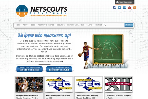 Site using Autoptimize plugin