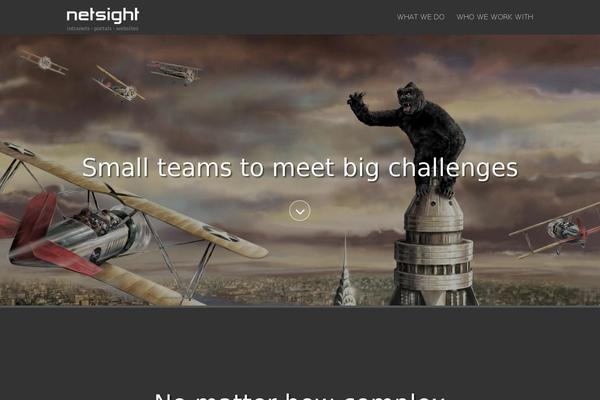 Divi Child theme site design template sample